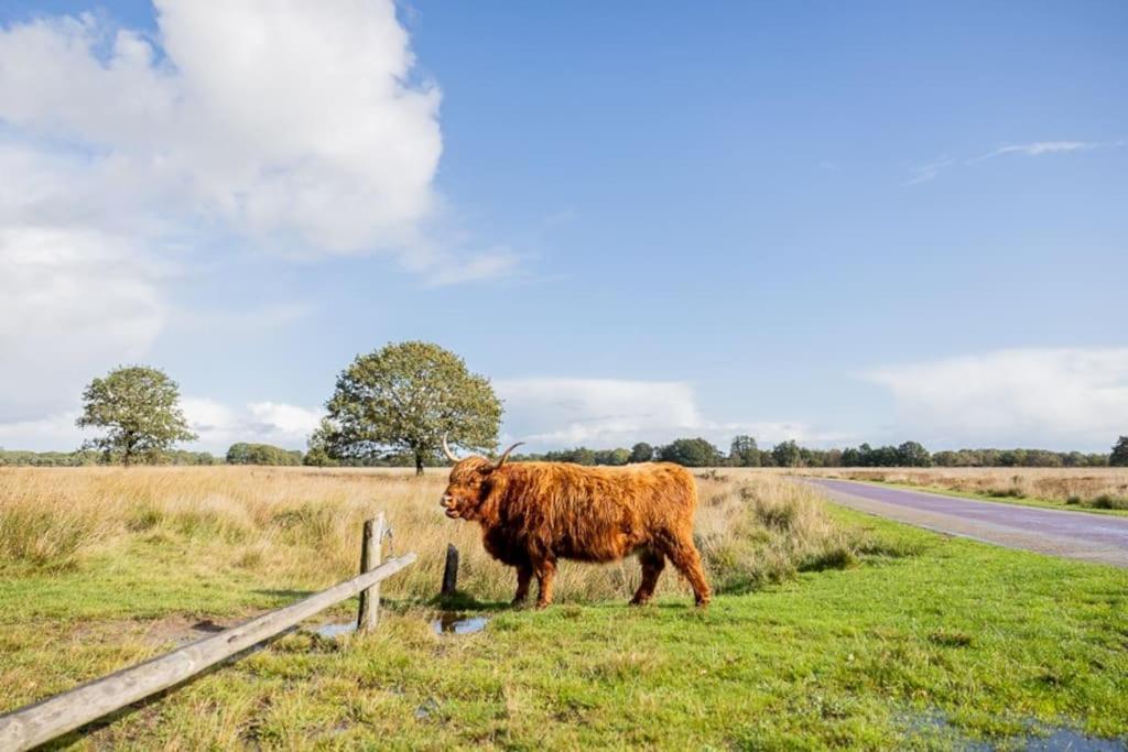 Willa Leva - Logeren In Drenthe Doldersum Zewnętrze zdjęcie